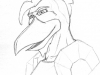 fe_chicken
