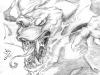 lizard