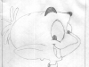 widget